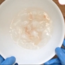 マダイの洗い 刺身が歯応えあるぷりぷりに 簡単 レシピ 作り方 By 谷口そら 楽天レシピ マダイの洗い 刺身が歯応えあるぷりぷりに 簡単 レシピ 作り方 By 谷口そら 楽天レシピ